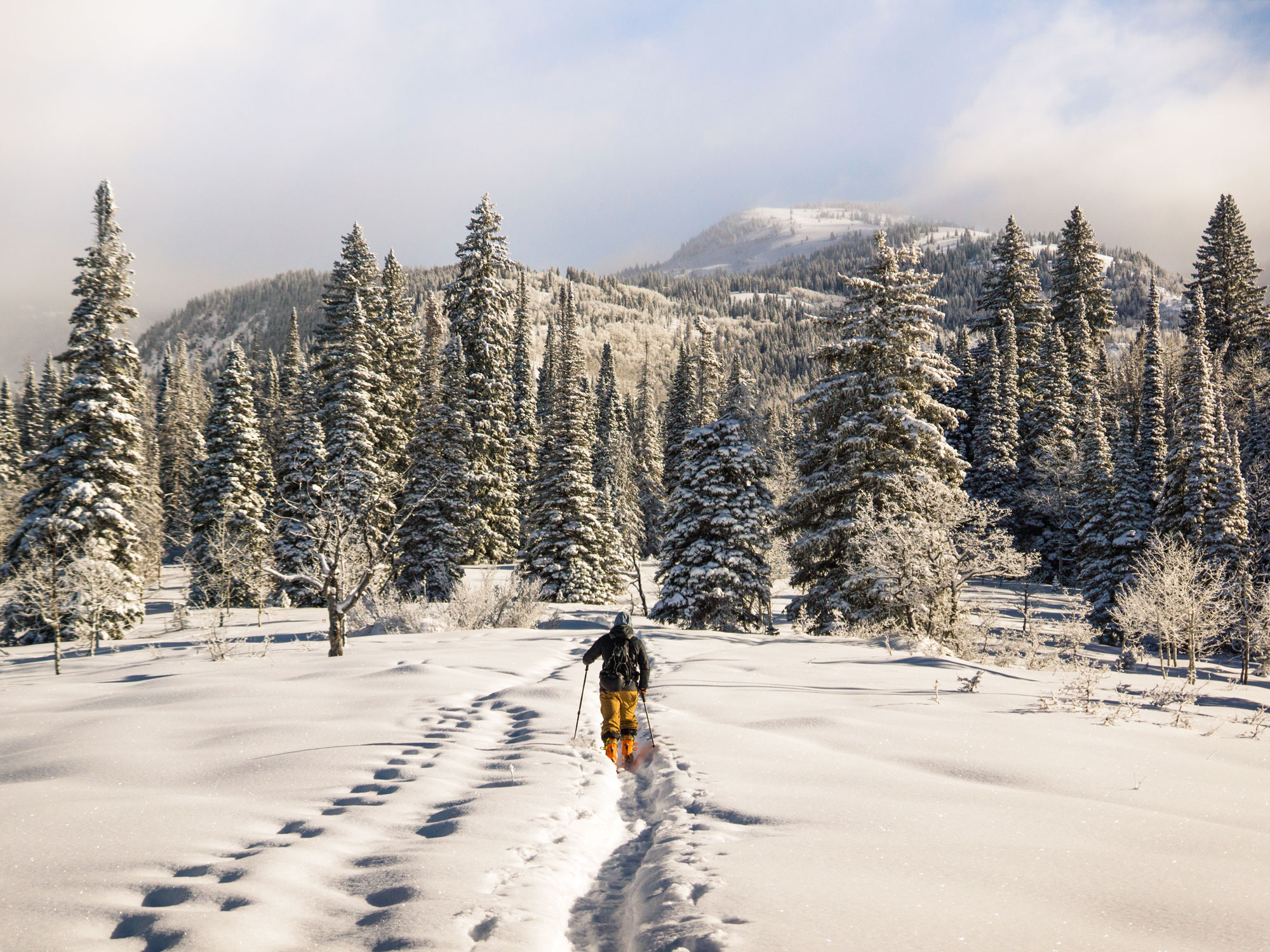 Person cross-country skiing through snowy Colorado mountains