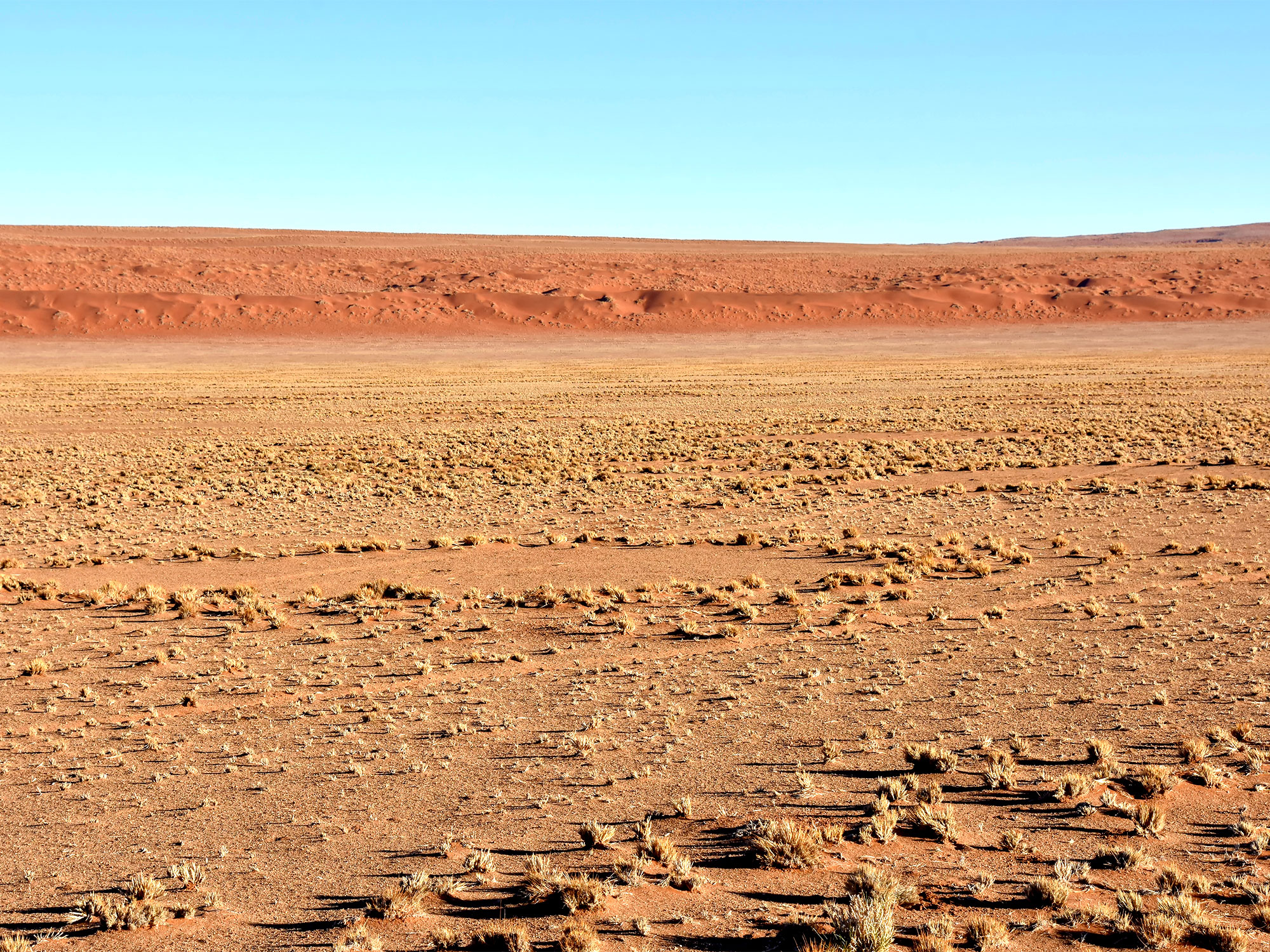 Landscape of Africa's Namib Desert with "fairy circles" in sand