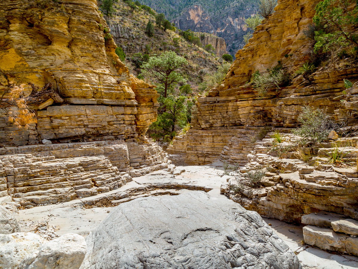 Striated rock in Guadalupe Mountains National Park in Texas