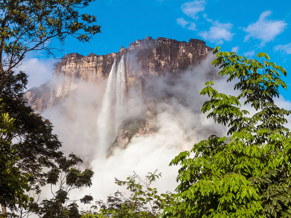 View of Venezuela's roaring Angel Falls between trees in the distance