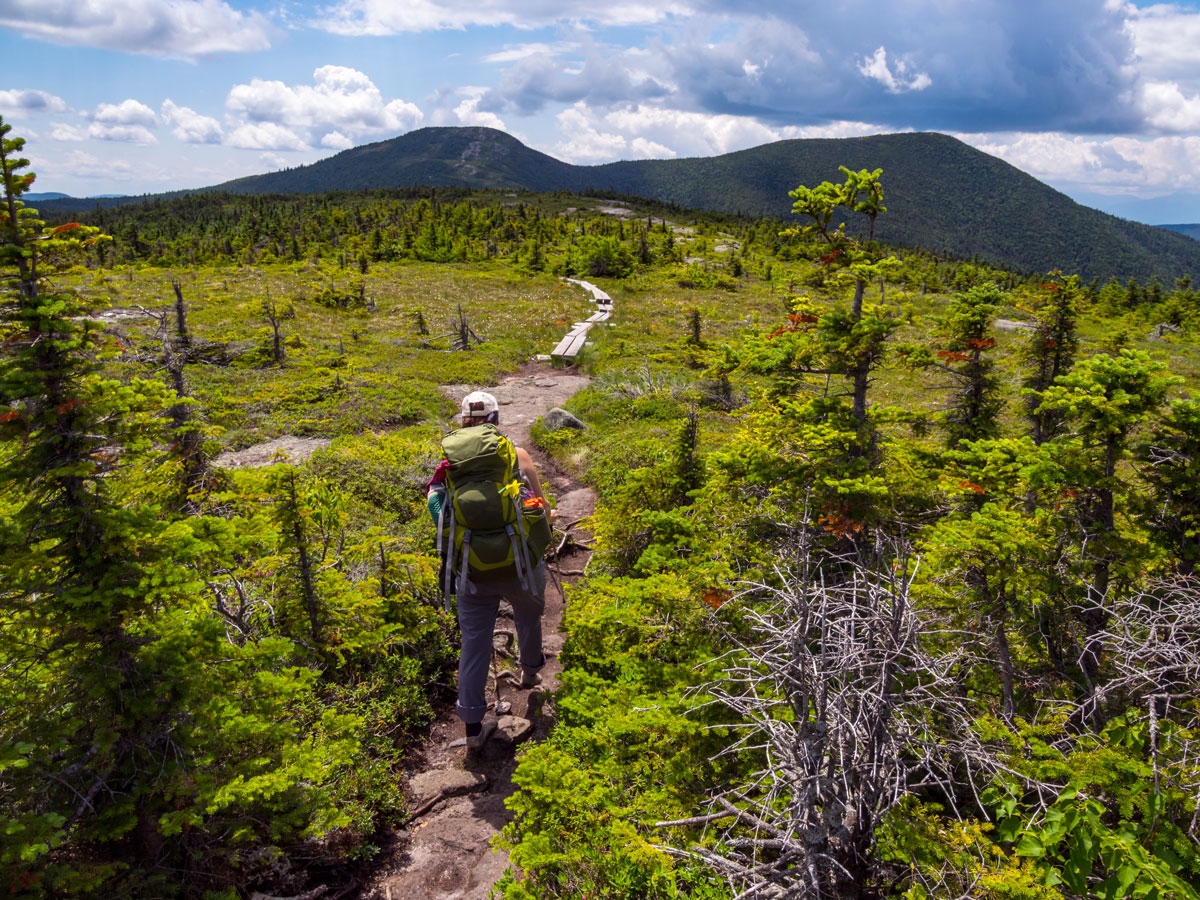 Hiker on the Appalachian Trail