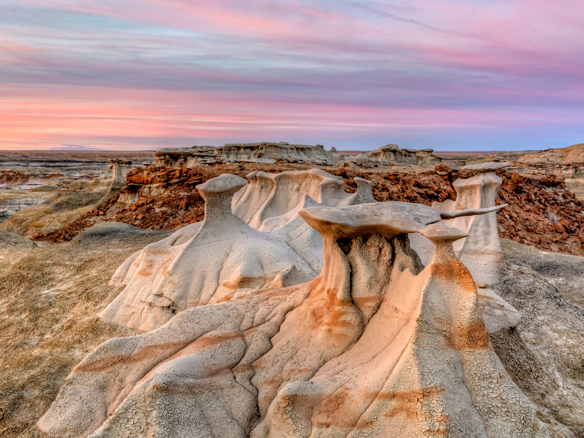 Strangely shaped rock formations of New Mexico's Bisti Badlands