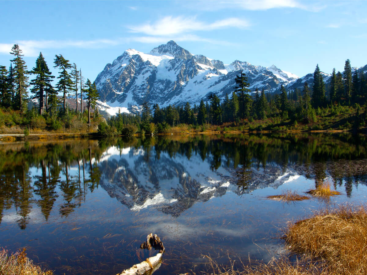 Mountain, forest, and lake outside of Tenino, Washington