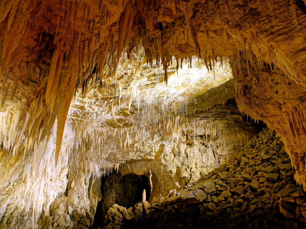 Formations of the Waitomo Caves in New Zealand