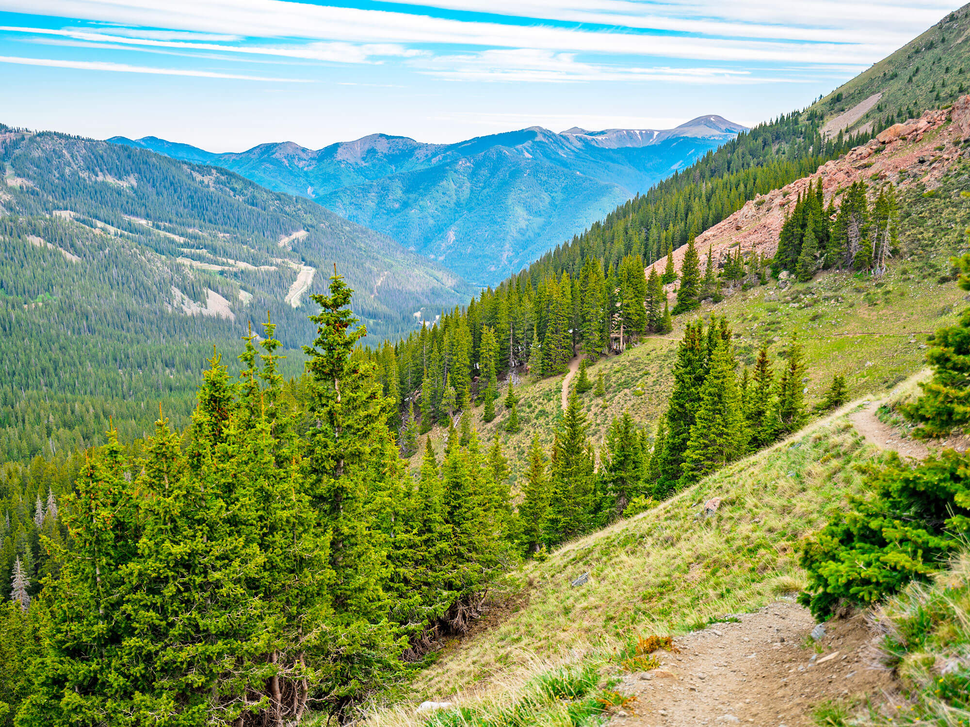 Forested mountainside on Wheeler Peak in New Mexico