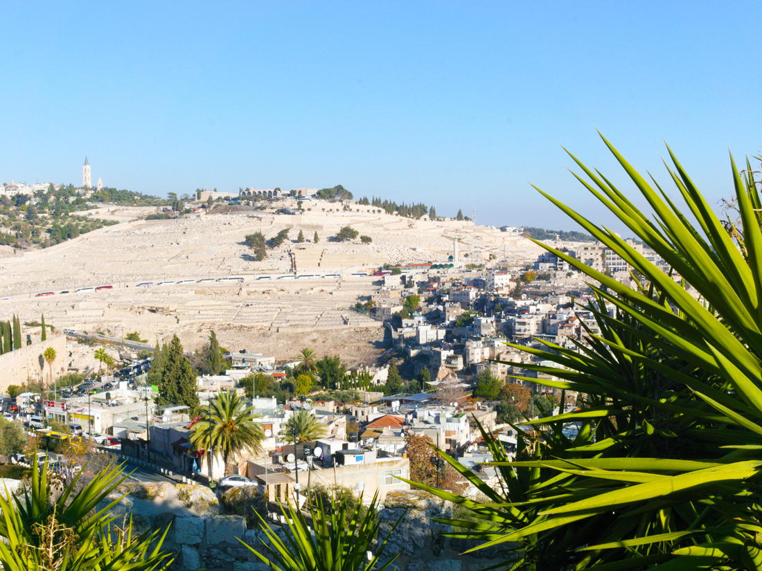 View of the Mount of Olives in Israel