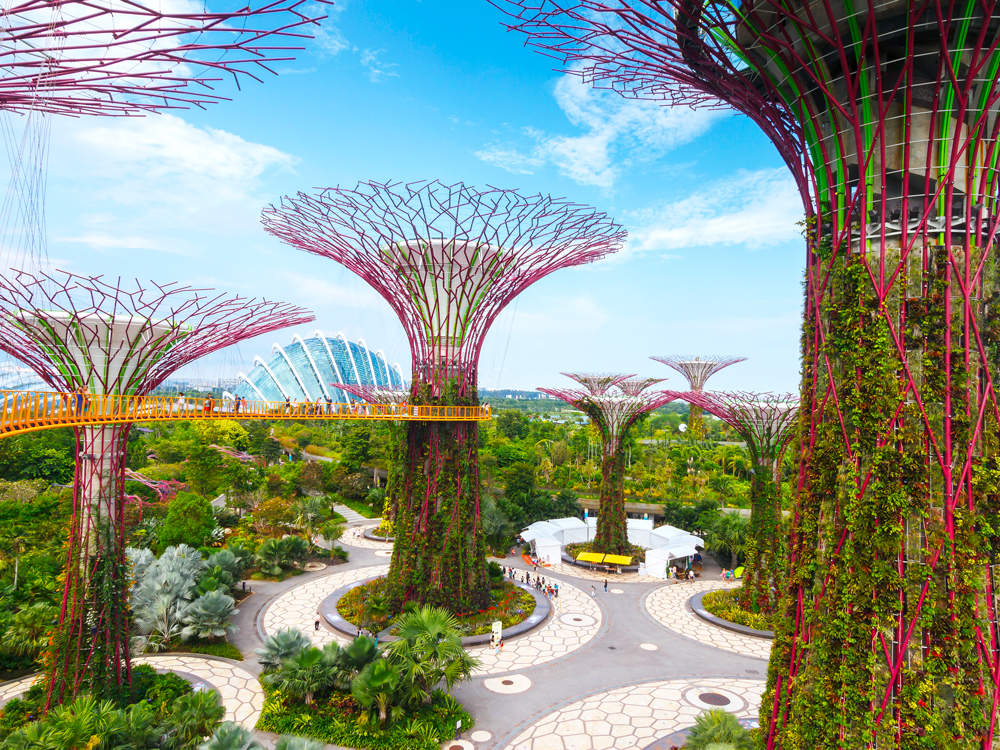 Supertrees of Singapore's Gardens by the Bay, seen from elevated walkway