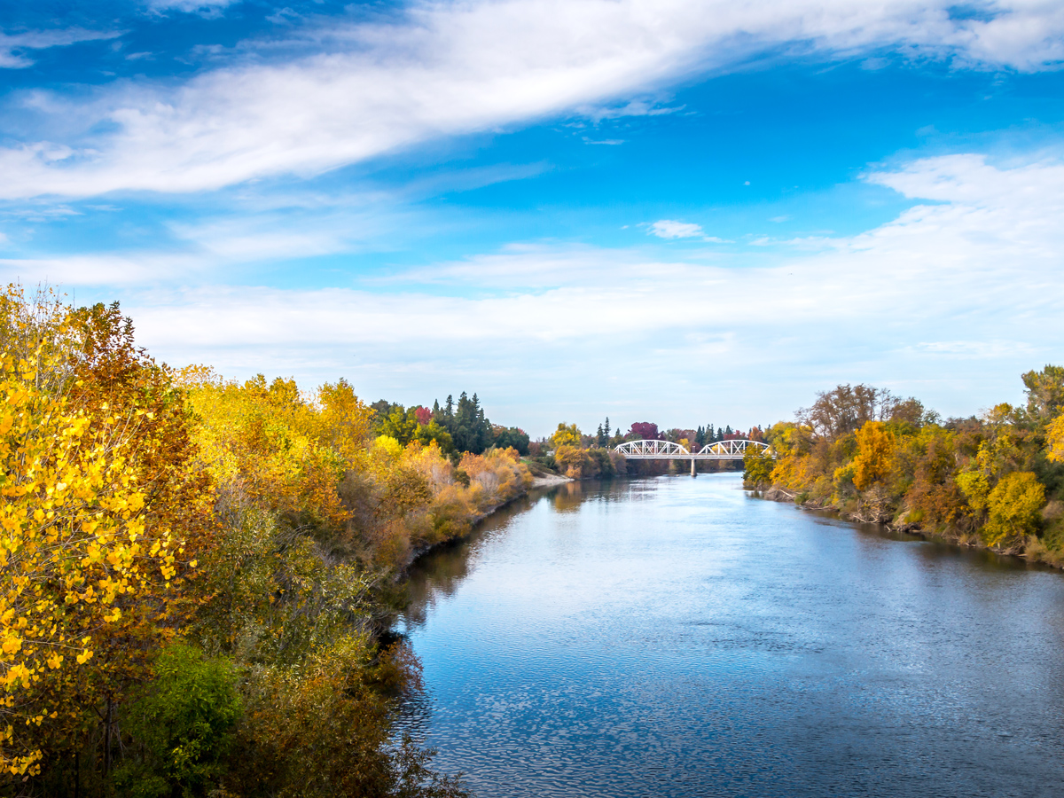 Autumn colors lining the Sacramento River in Northern California