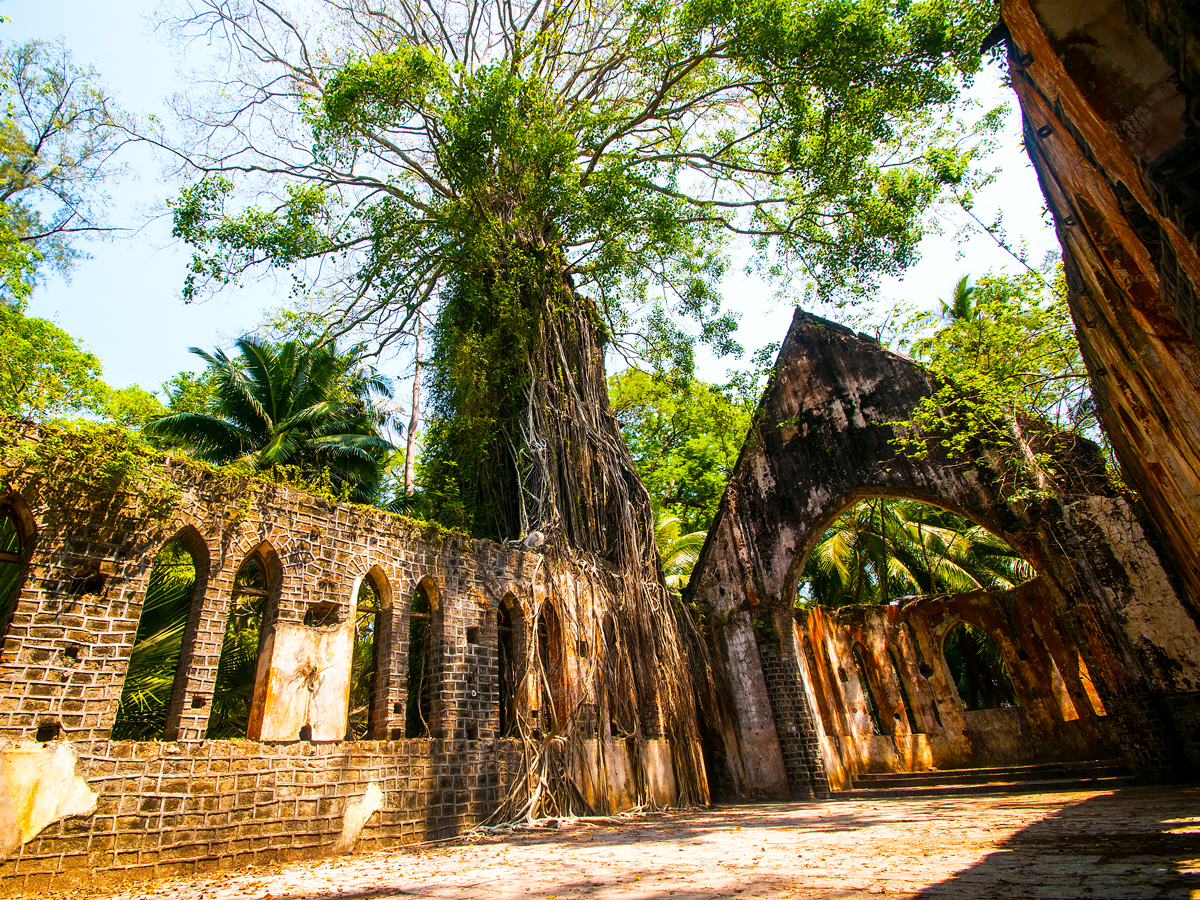 Abandoned church overgrown with foliage on India's Netaji Subhas Chandra Bose Island