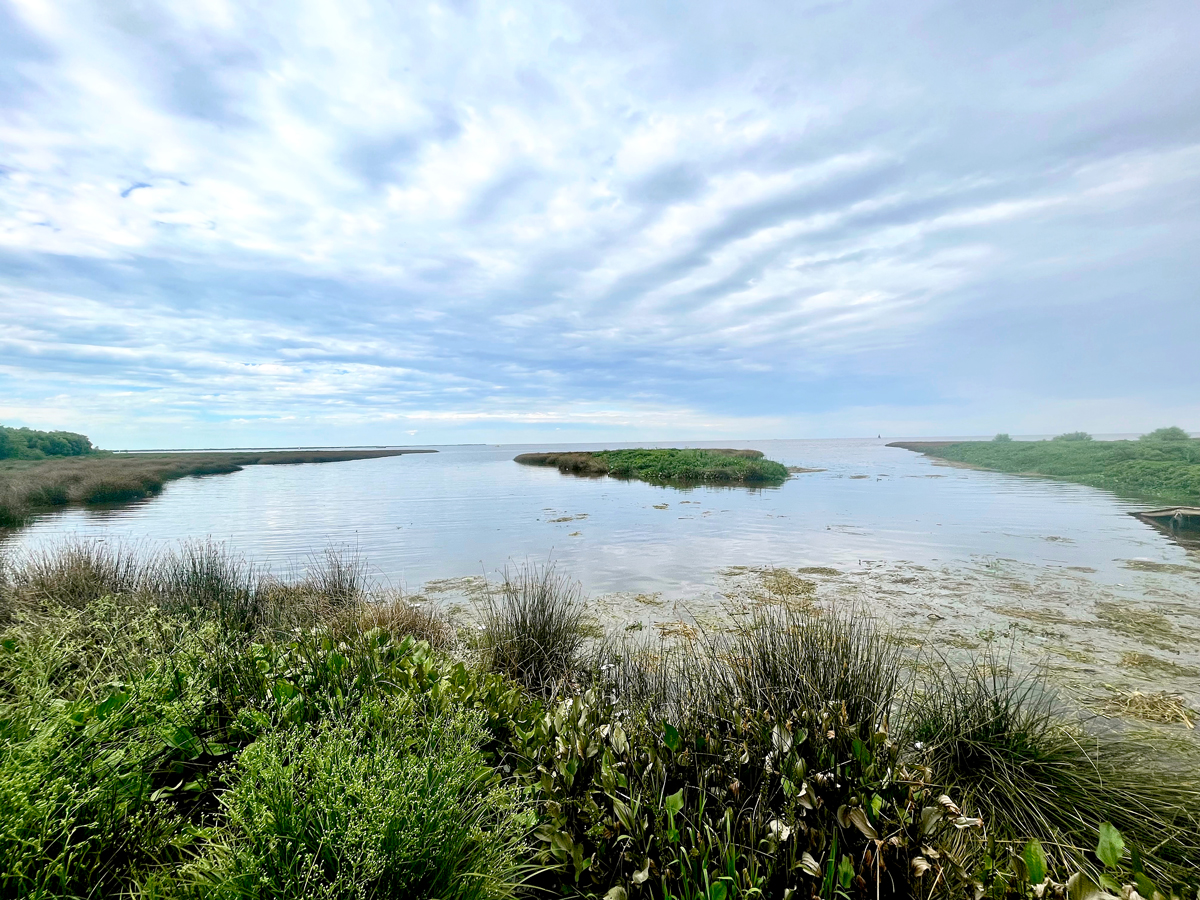 Landscape of the Río de la Plata estuary in Argentina and Uruguay