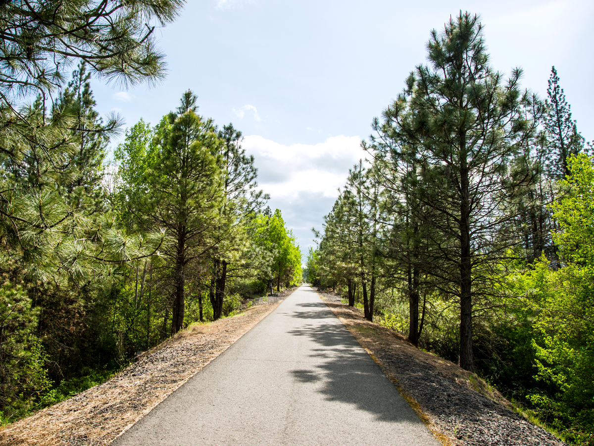 Paved path surrounded by trees along the Columbia Plateau Trail State Park in Washington