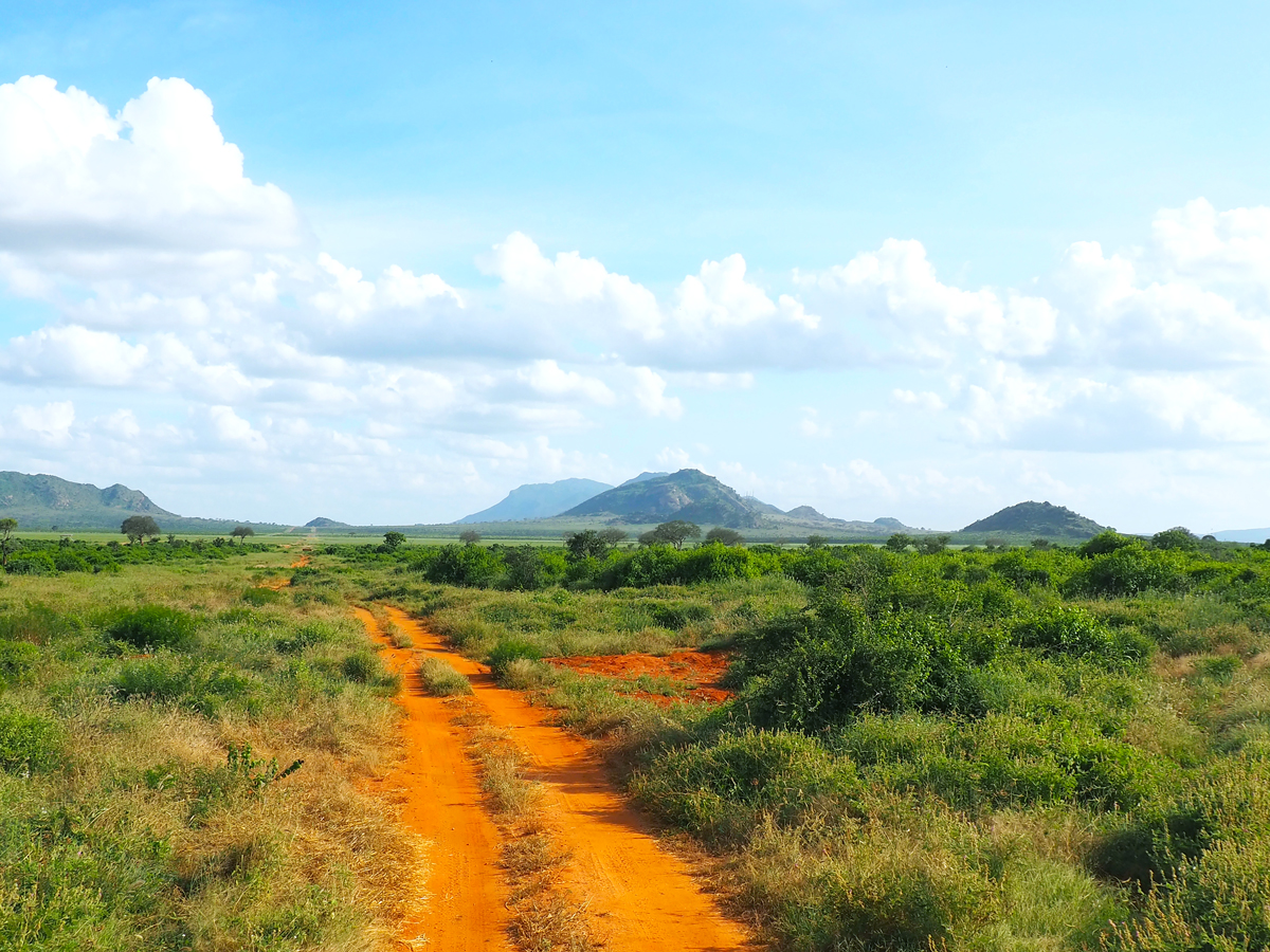 Red dirt road through landscapes of Tsavo National Park in Kenya