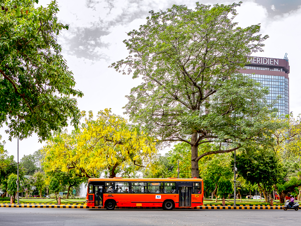 Bus in Delhi, India