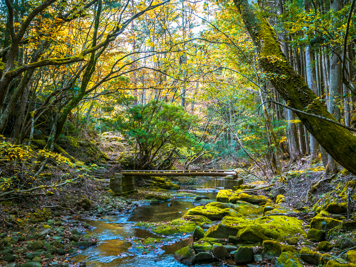 Bridge over creek in Akasawa Forest, Japan