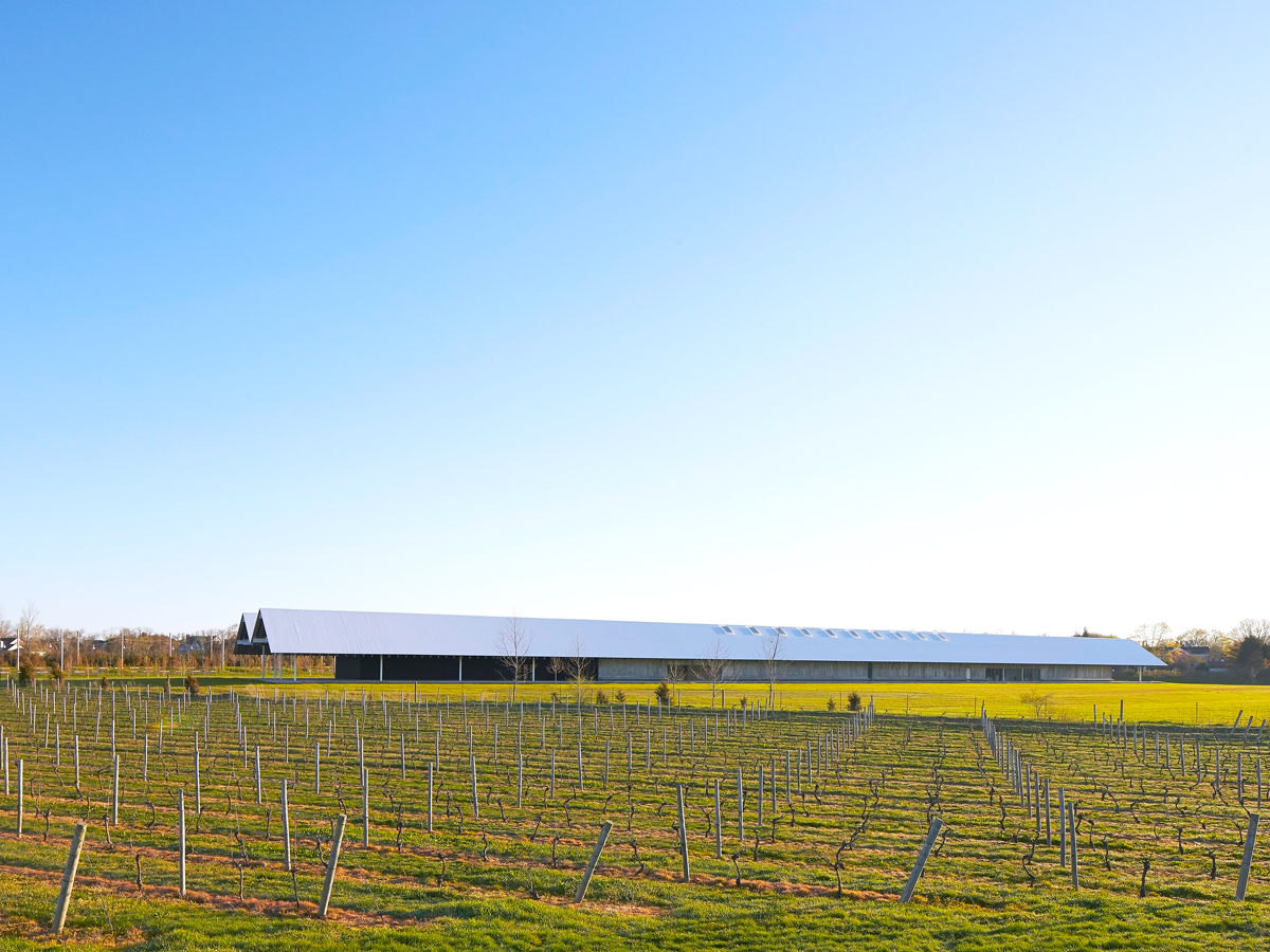 Vineyard and museum in Watermill, New York