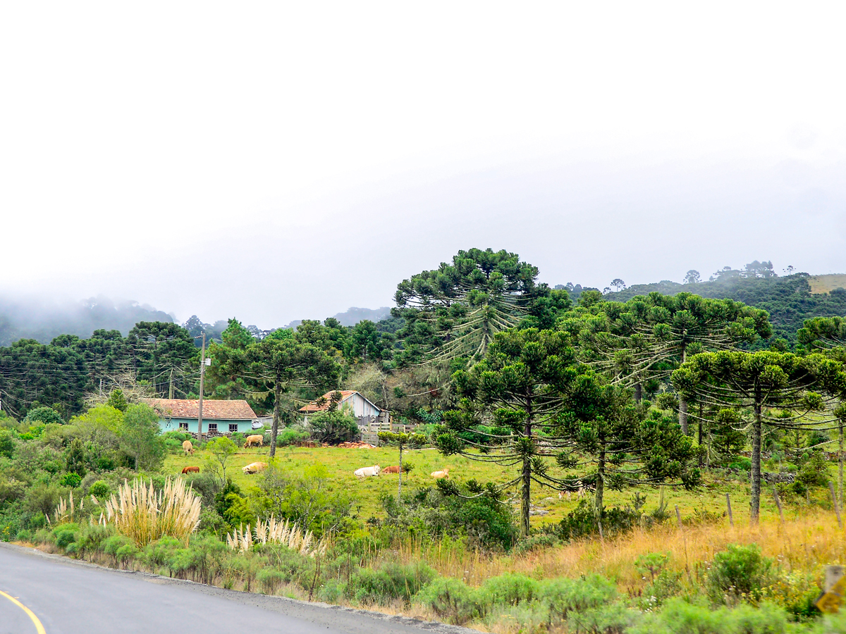 Homes and fields of São Joaquim, Brazil, on cloudy day