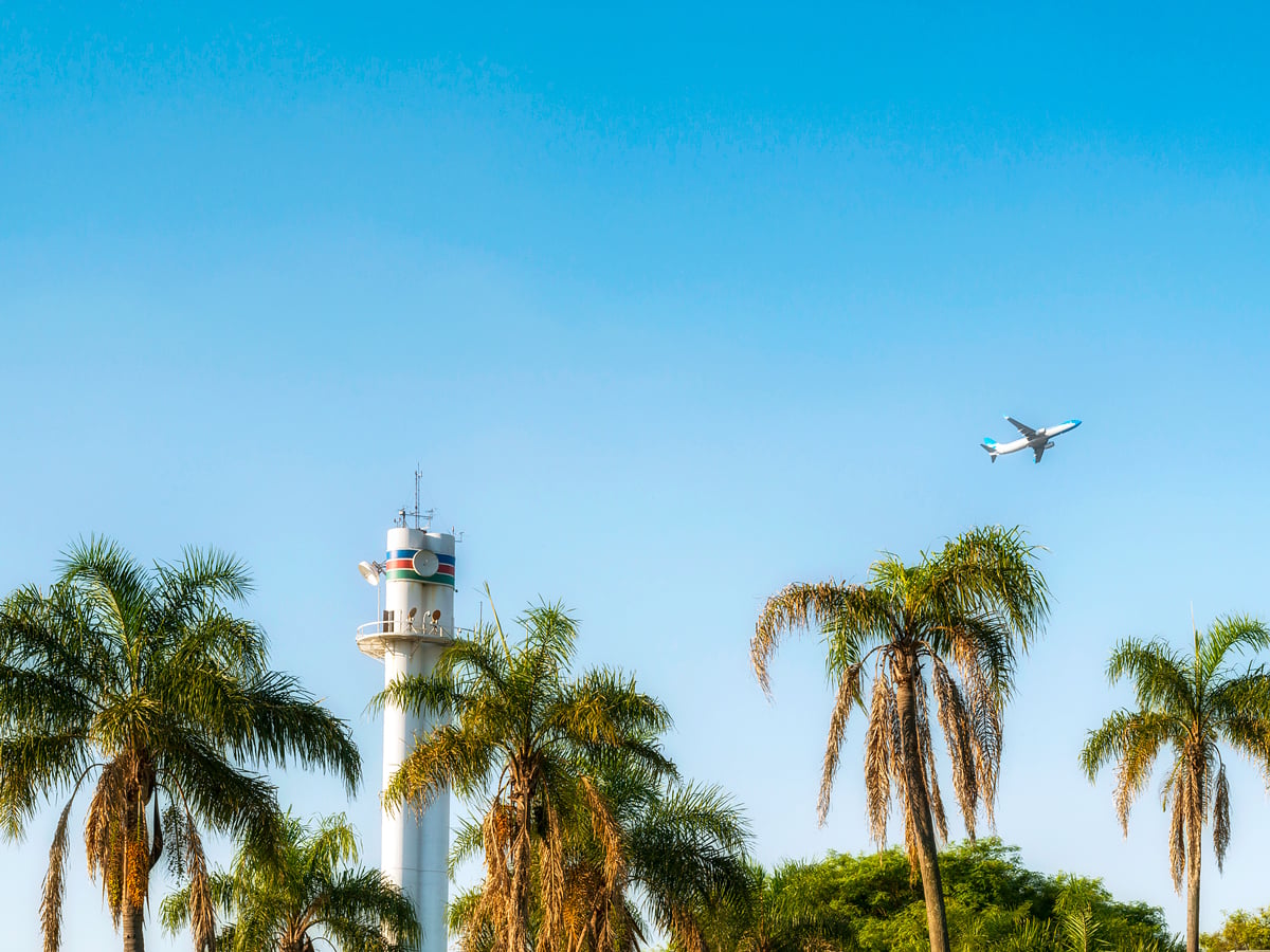 Plane taking off in the distance over palm trees