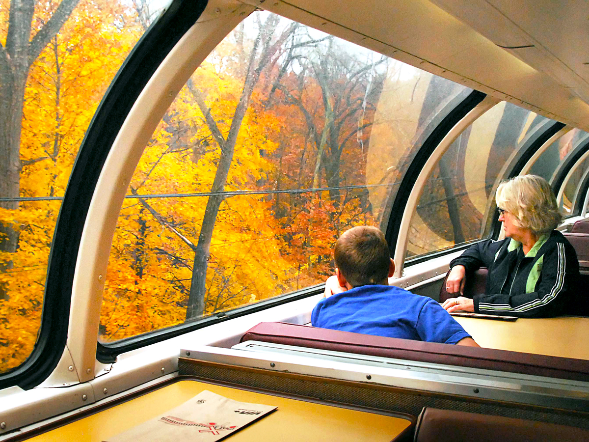 Amtrak passengers gazing at fall foliage outside train window
