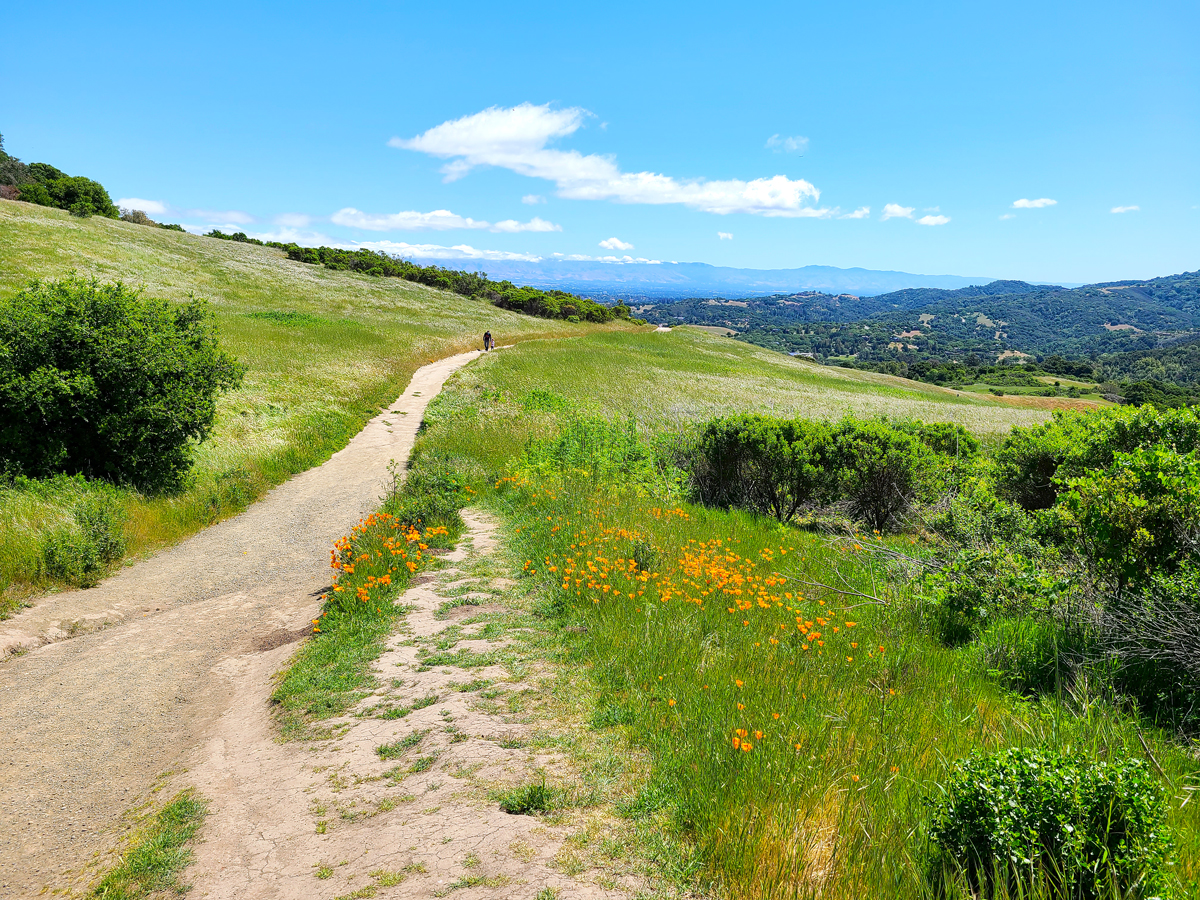 Hiking trail in Portola Valley, California