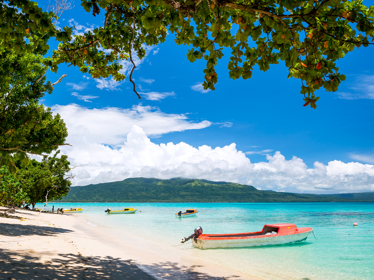 Sandy beach shaded by trees in Vanuatu