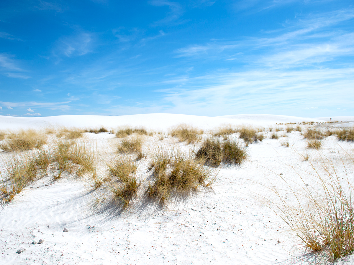 White sand dunes in New Mexico