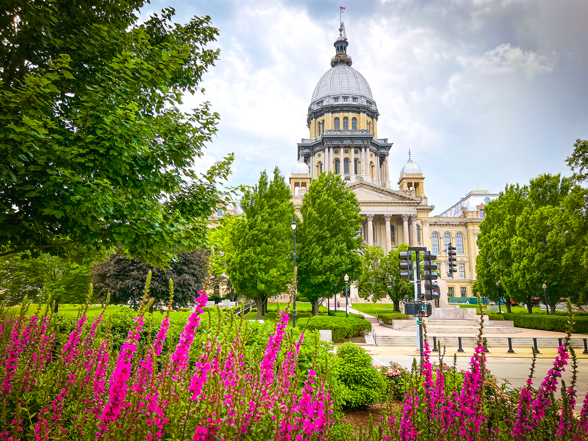 Flowers blooming with Illinois State Capitol building in background
