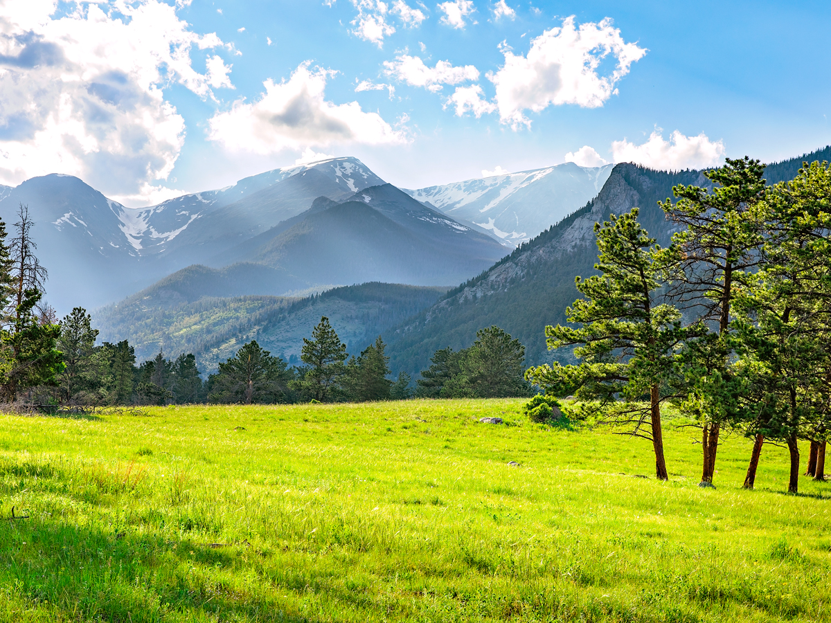 Grassy meadow in Colorado's Rocky Mountain National Park