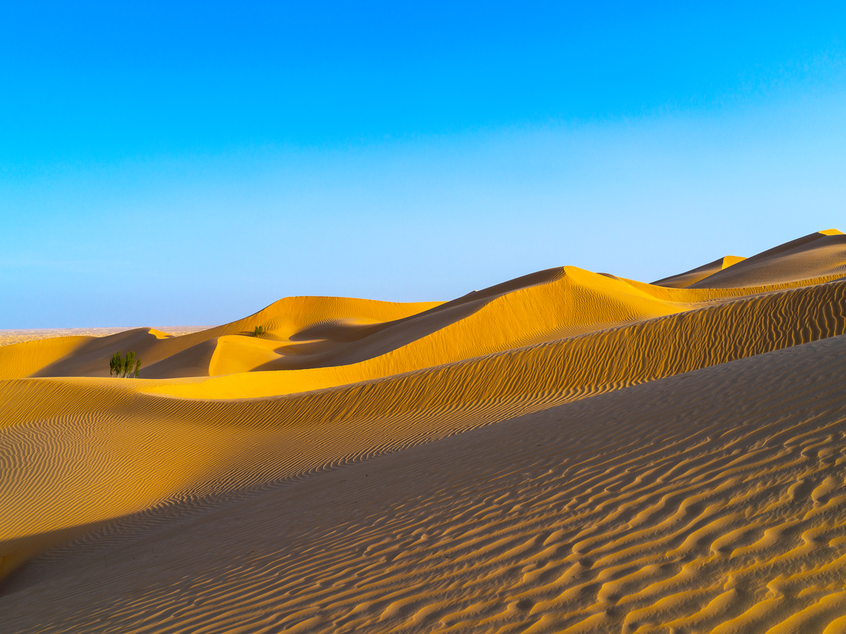 Sand dunes in Oman