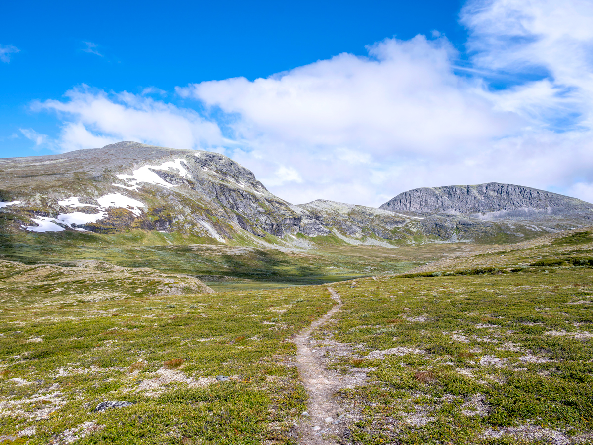 Tundra landscape of Dovrefjell National Park in Norway
