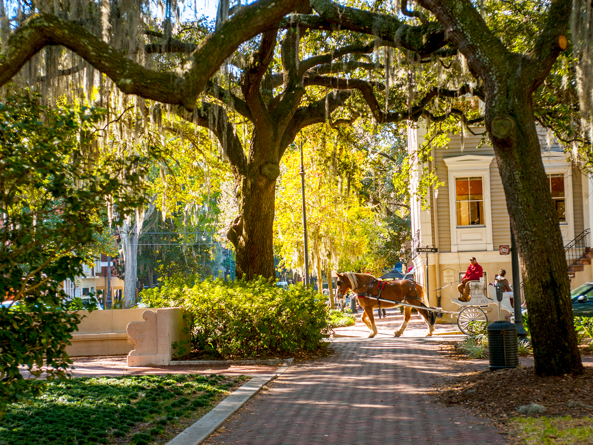 Shady square in Savannah Historic District in Savannah, Georgia