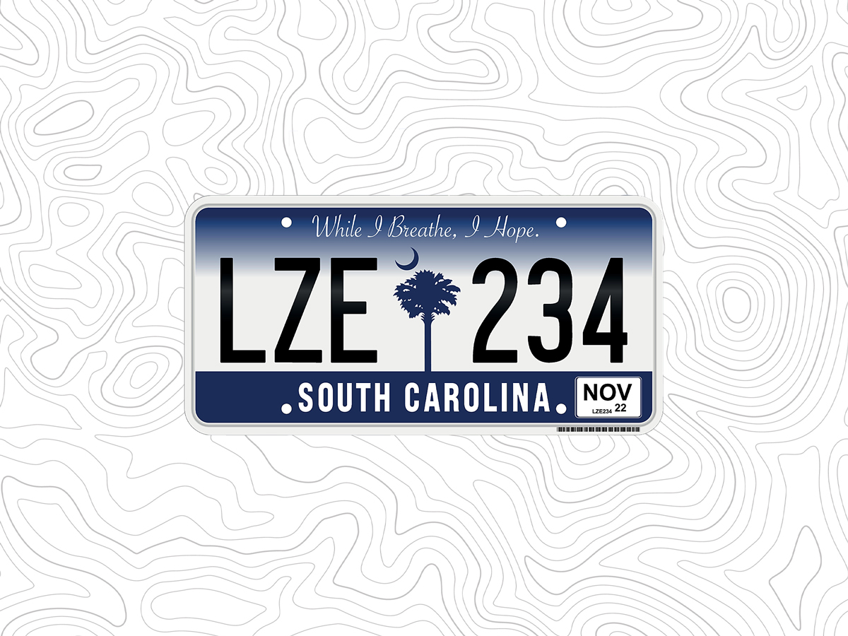 South Carolina license plate