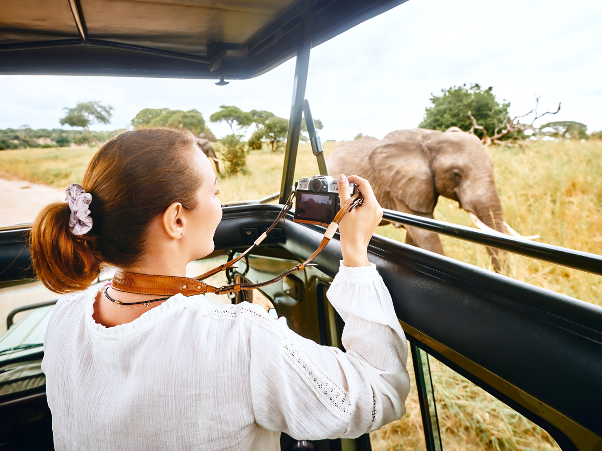 Tourist on safari capturing photograph of elephant