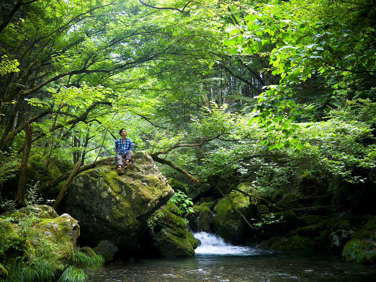 Person sitting in forest by river looking up at trees