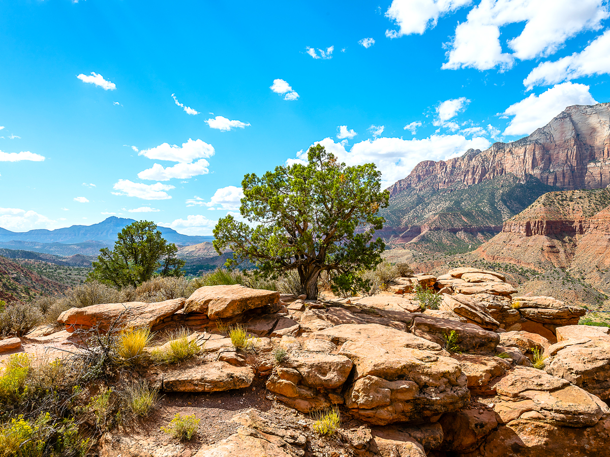 Landscape of Zion National Park in Utah