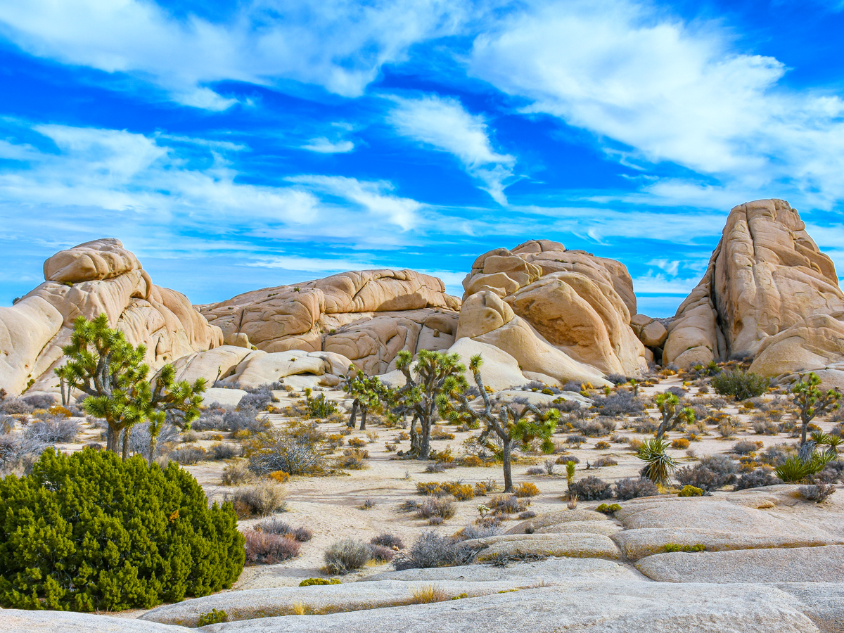 Rock formations in Joshua Tree National Park in California