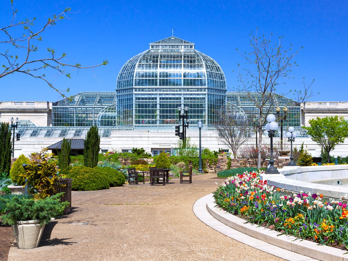 Flowers along pathway leading to conservatory at the U.S. Botanic Garden in Washington, D.C.