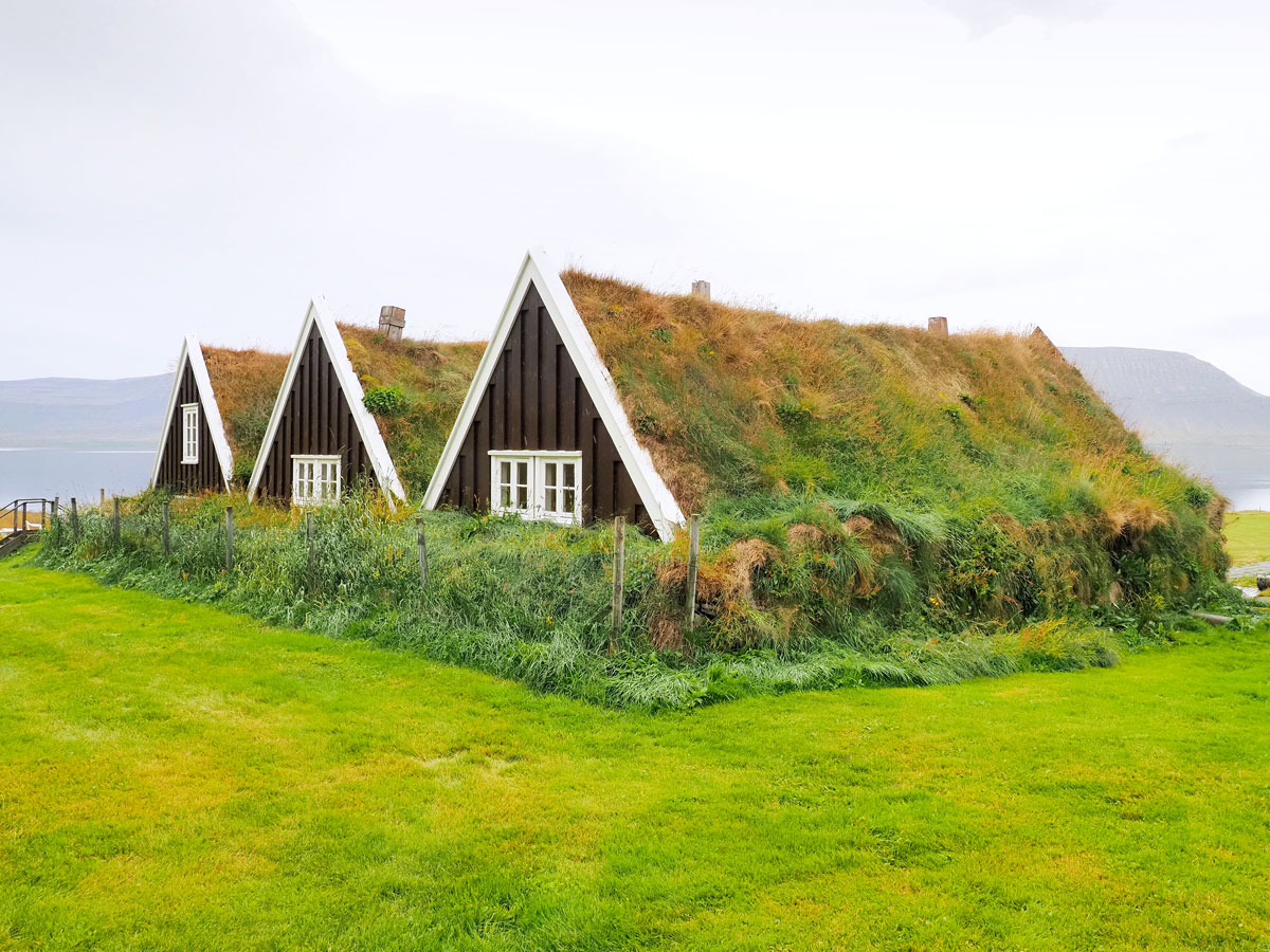 Homes in Iceland covered in turf
