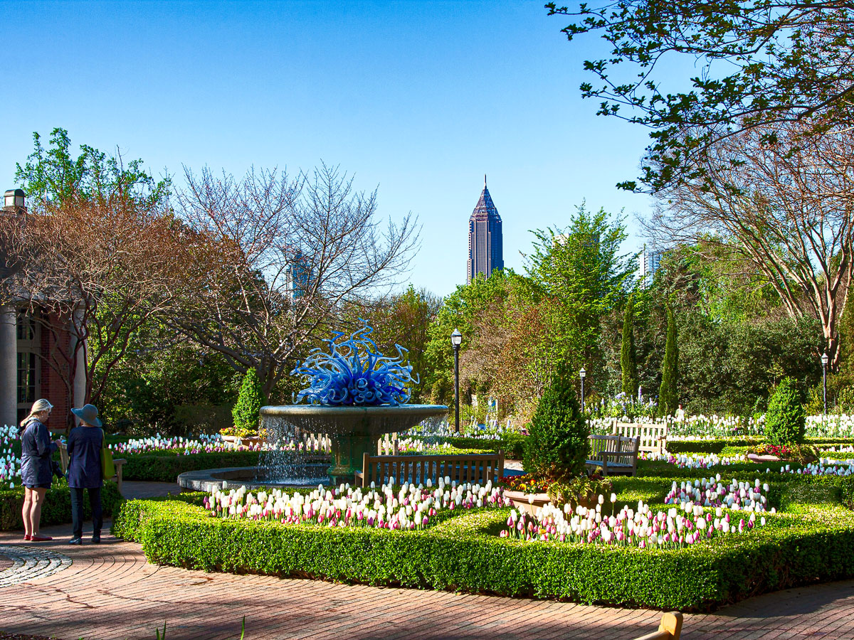 Colorful blooms in the Atlantic Botanical Garden