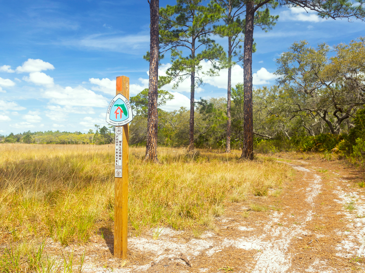 Sign marking the Florida National Scenic Trail