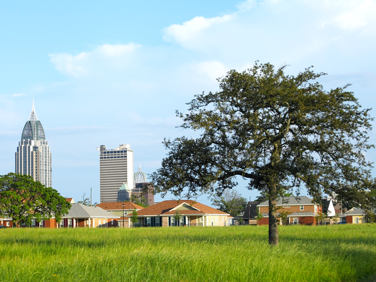 Grassy field with Mobile, Alabama, skyline in distance