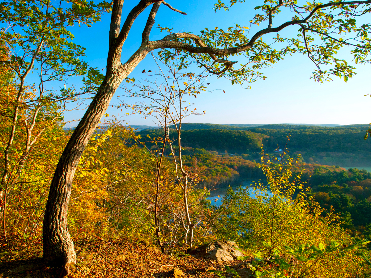 New England National Scenic Trail during autumn