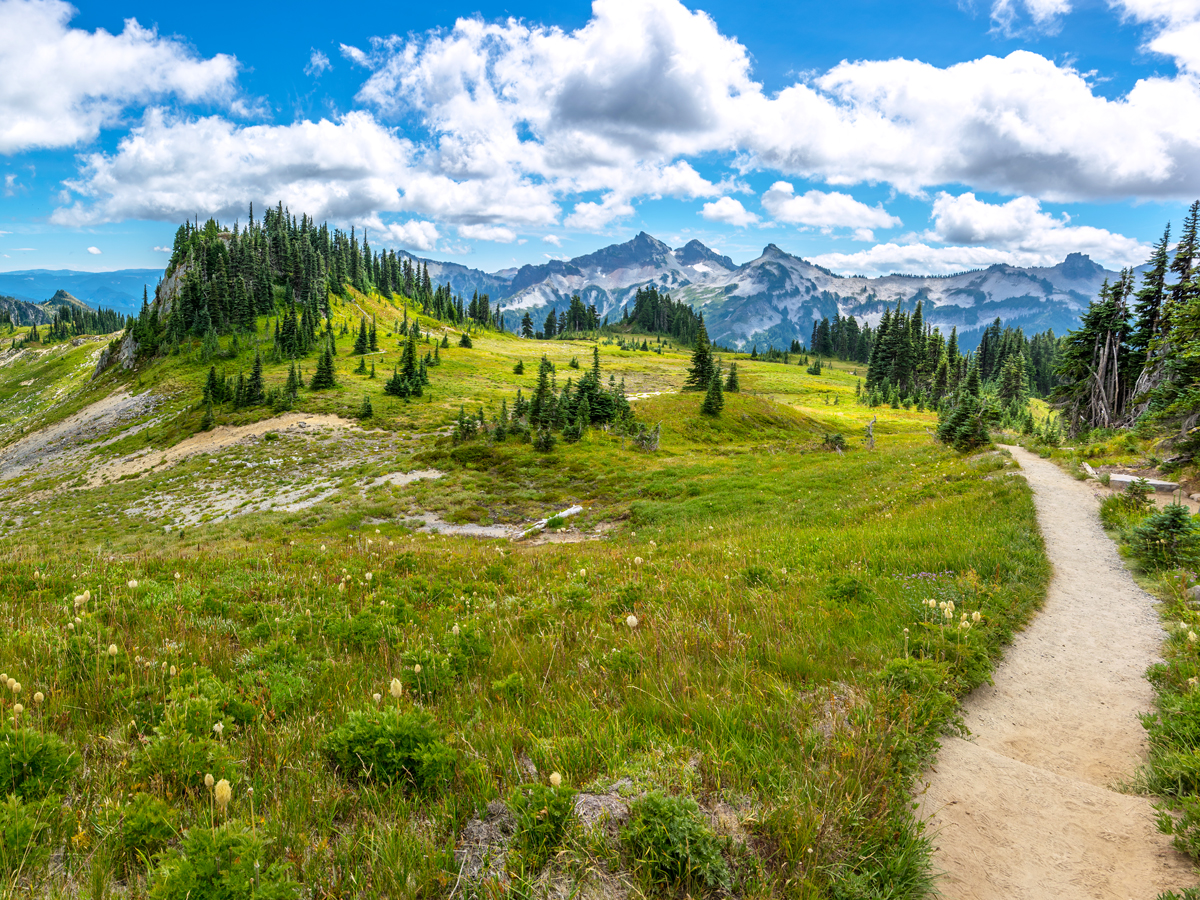 Path through mountain meadow along the Pacific Crest Trail