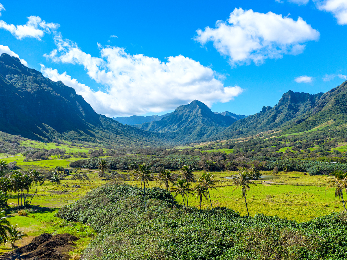 Lush valley in Hawaii