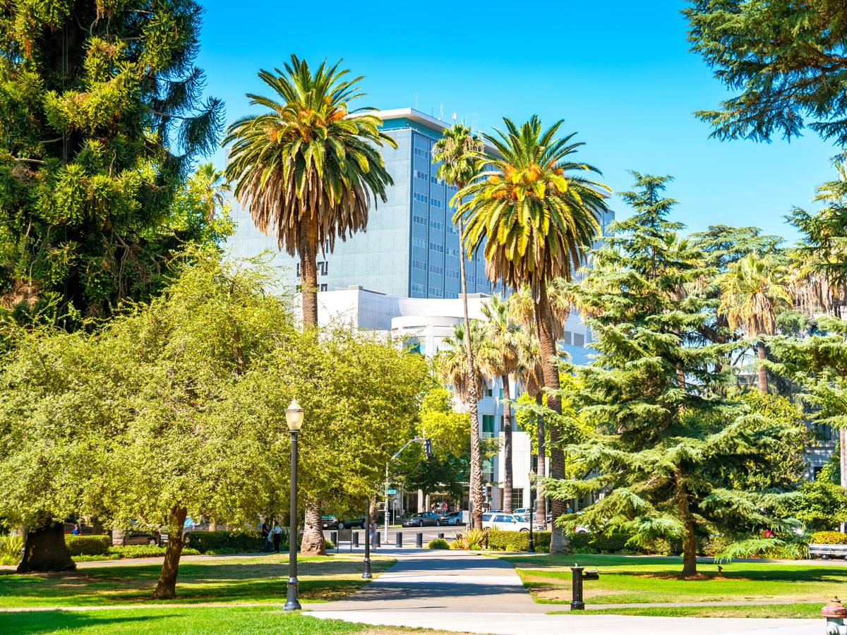 Tree-filled park in downtown Sacramento, California