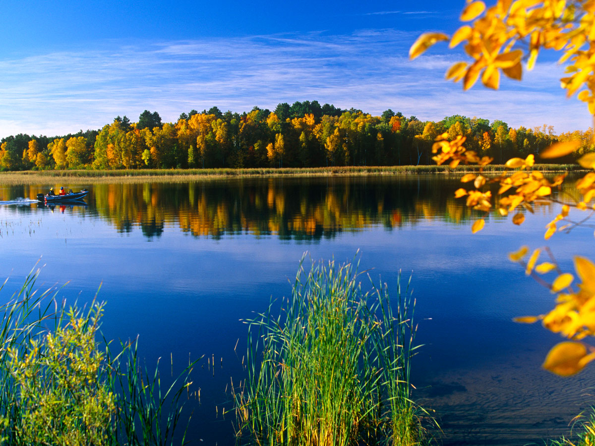 Trees reflecting on waters of Minnesota lake
