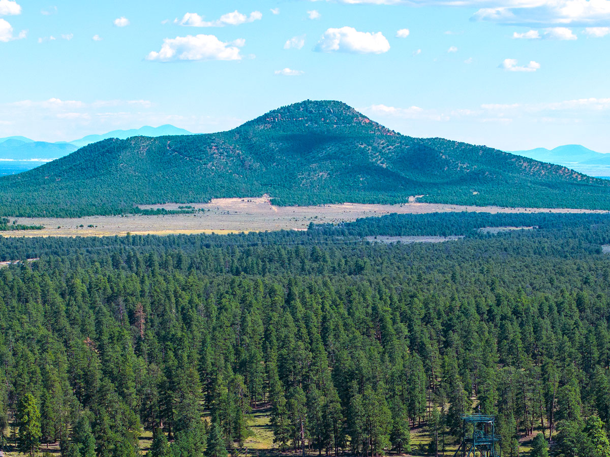 Forest and mountains in the Baaj Nwaavjo I'tah Kukveni-Ancestral Footprints of the Grand Canyon National Monument of Arizona