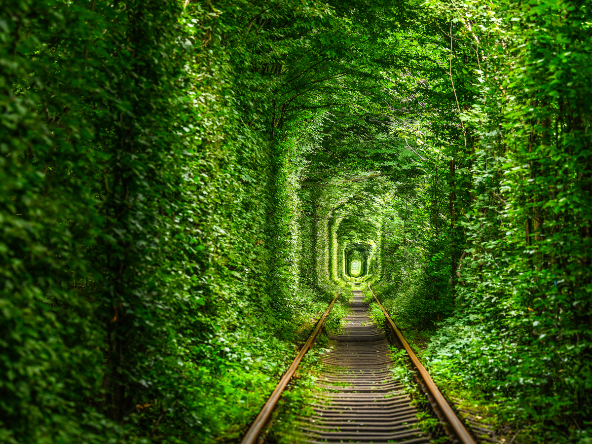 Railroad track surrounded by a tunnel of trees in Ukraine