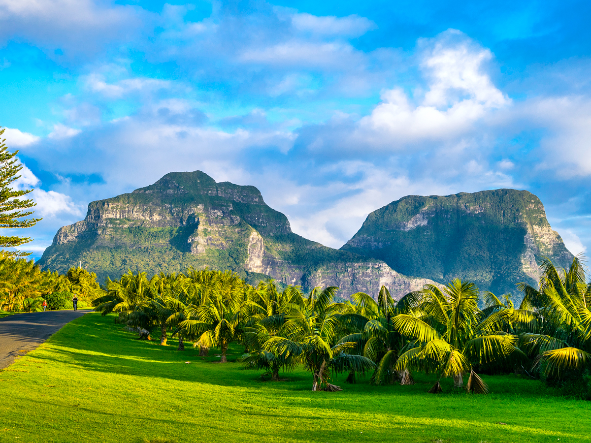 Palm trees and mountains on Lord Howe Island, Australia