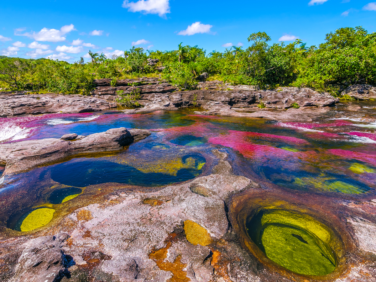 Colombia's rainbow-colored Caño Cristales river