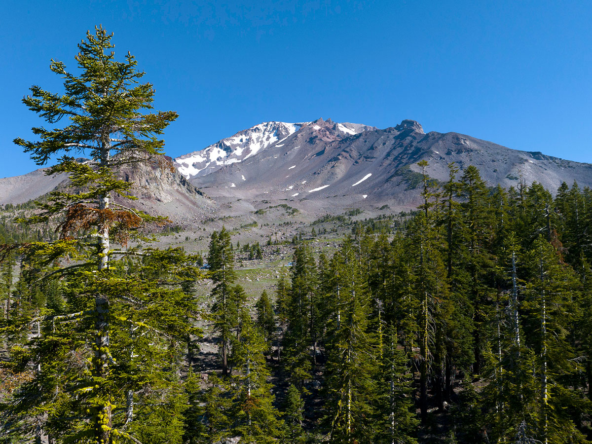 View of mountain peak over treetops at California's Sáttítla Highlands National Monument